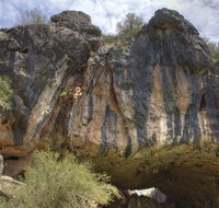 Borenore Karst Conservation Reserve - Accommodation Asia