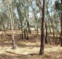 Chiltern-Mt Pilot National Park - Accommodation Asia
