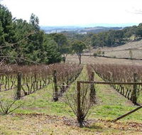 Habitat Vineyard - Accommodation Asia