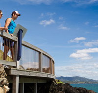 Mount Canobolas State Conservation Area - Accommodation Guide