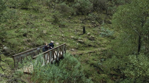 Mount Canobolas State Conservation Area - Accommodation Guide 3