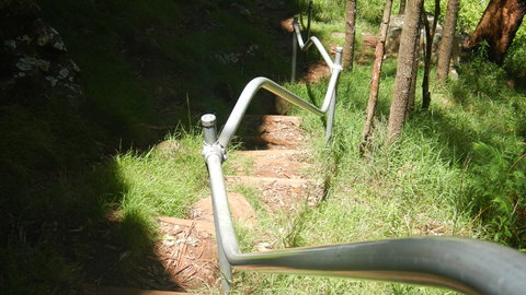 Mount Canobolas State Conservation Area - Accommodation Guide 1