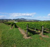 Hedberg Hill Wines - Accommodation Asia
