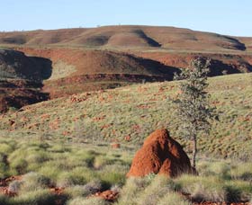 Camel Trail, Millstream-Chichester National Park - Accommodation Asia 0
