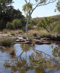 Camel Trail, Millstream-Chichester National Park - Accommodation Asia 3