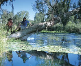 Millstream Chichester National Park - Accommodation Asia 1