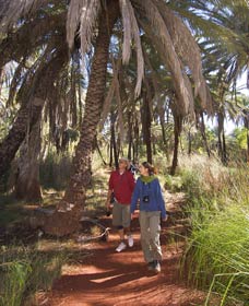 Millstream Chichester National Park - Accommodation Asia 2