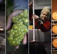 Ross Hill Wines - Accommodation Guide