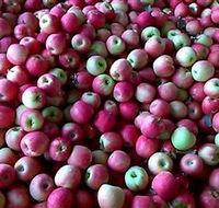 Hillside Orchard - Accommodation Asia