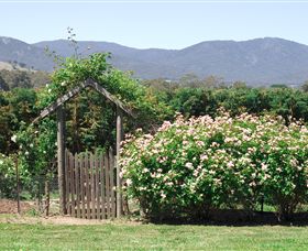 Samaria Farm - Accommodation Asia 2