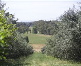 Samaria Farm - Accommodation Asia 7