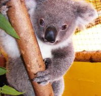Cooberrie Park Wildlife Sanctuary - Accommodation Guide