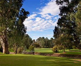 Commercial Golf Course - Accommodation Guide 0