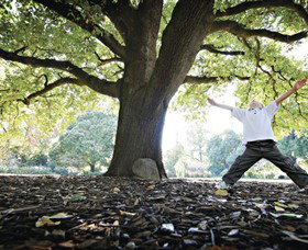 Albury Botanic Gardens - Accommodation Guide 1