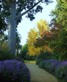 Albury Botanic Gardens - Accommodation Guide 4