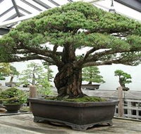 Peards Complex Albury - Accommodation Guide