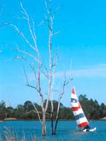 Lake Broadwater Conservation Park - Accommodation Asia 2