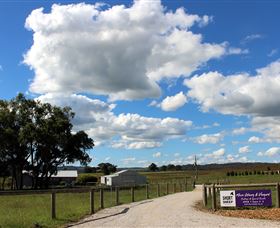 Short Sheep Micro-Winery - Accommodation Asia 8
