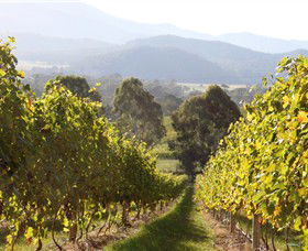 Pizzini Wines King Valley - Accommodation Asia 3