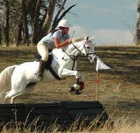 National Equestrian Centre - Kerrabee - Accommodation Asia