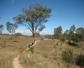 Kambah Pool To Pine Island - Accommodation Asia 1