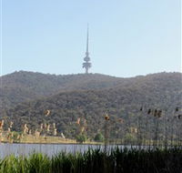 Black Mountain Peninsula - Accommodation Asia