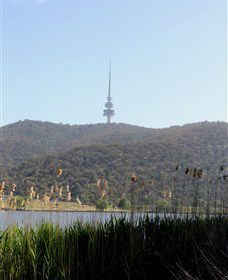 Black Mountain Peninsula - Accommodation Asia 0