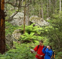 Centennial Glen - Accommodation Guide