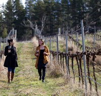 Mount Majura Vineyard - Accommodation Asia