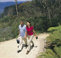 Blue Mountains Walking Tracks - Accommodation Guide