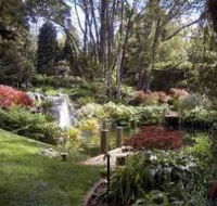 Windyridge Garden Mount Wilson