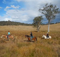 Chapman Valley Horse Riding - Accommodation Asia