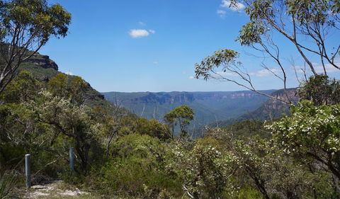 Mount Banks Road Cycle Route - Accommodation China 2
