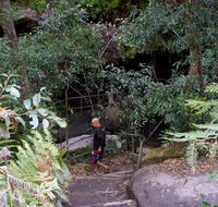 Leura Cascades Fern Bower