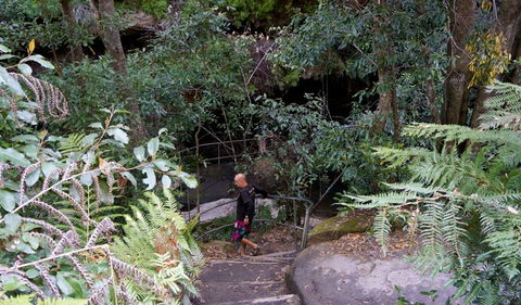 Leura Cascades Fern Bower - Accommodation Asia 0