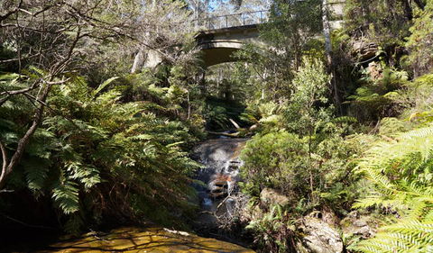 Leura Cascades Fern Bower - Accommodation Asia 3
