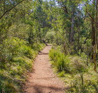 Mares Forest Creek walking track - Accommodation Asia