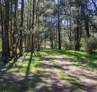 Wombeyan Waterfall walking track - Accommodation Asia
