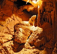 Fig Tree Cave - Accommodation Asia