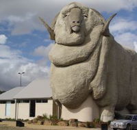 Big Merino - Accommodation Asia