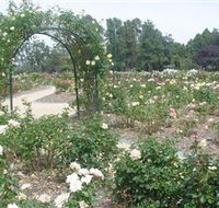 Victoria Park Rose Garden - Accommodation Asia