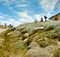 Mount Kosciuszko Summit walk - Accommodation Guide