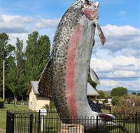 Big Trout - Accommodation Asia