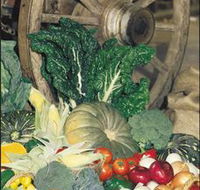 Mulgowie Real Farmers Markets - Accommodation Asia