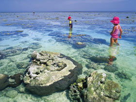 Southern Great Barrier Reef - Accommodation China 1