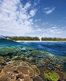 Southern Great Barrier Reef - Accommodation China 2