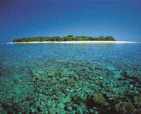 Southern Great Barrier Reef - Accommodation China 3