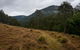 Nowendoc National Park - thumb 1