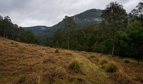 Nowendoc National Park - Accommodation Asia 1
