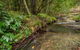 Nowendoc National Park - thumb 2